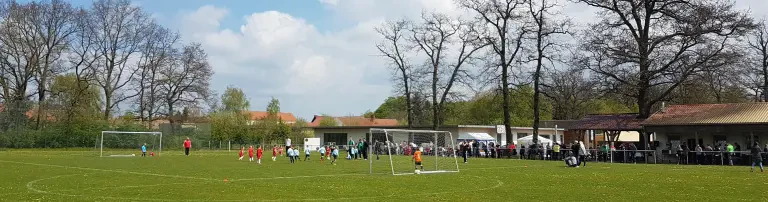 Flechtinger Sportverein e.V. Header