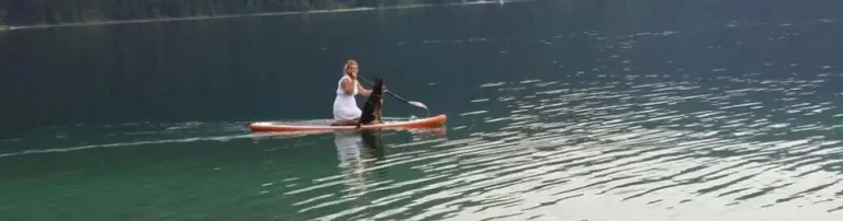 MIRA Hundehilfe Moskau e. V. Header