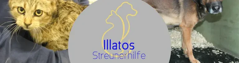Illatos Streunerhilfe Header