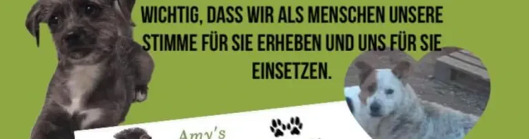 Amy´s Pfotenfreunde e.V. Header