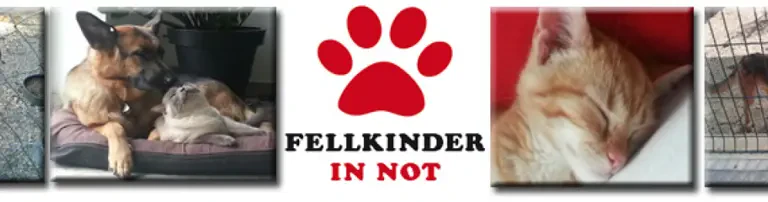 Fellkinder in Not e.V. Header