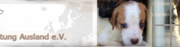 TierRettung-Ausland e.V. Header