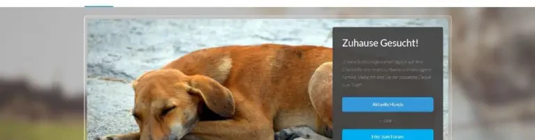 Helpinghands4animals.de Header