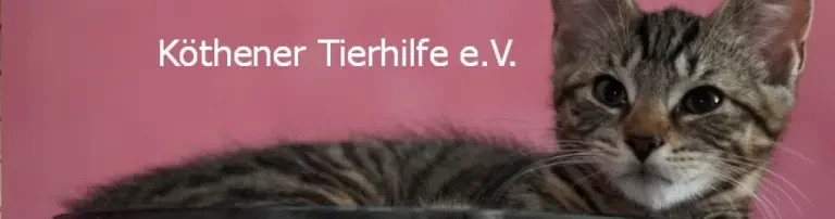 Köthener Tierhilfe e.V. Header
