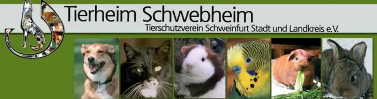 Tierschutzverein Schweinfurt Stadt und Landkreis e. V. Header