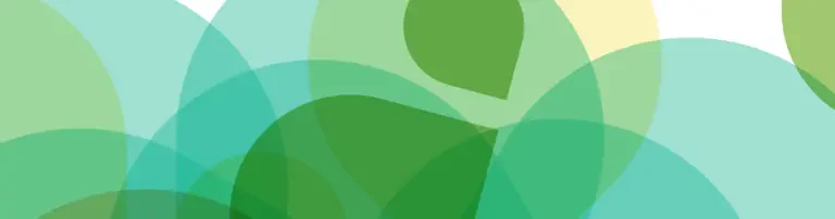 FINE Frankfurter Institut für nachhaltige Entwicklung e.V Header