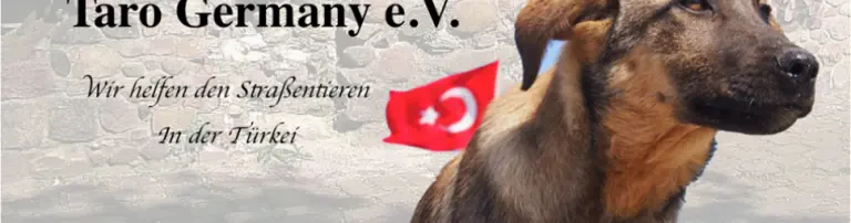 Taro Germany e.V. Header
