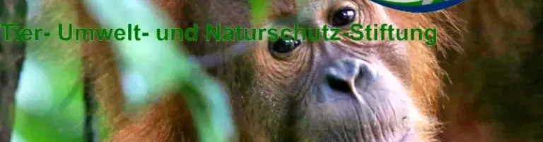 Tier-Umwelt-und Naturschutz-Stiftung Header