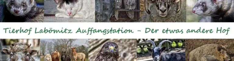 Tierhof Labömitz e.V. Header