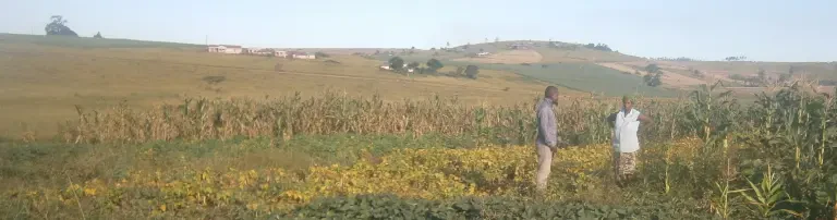 Yebo  Zululand Initiativen Header