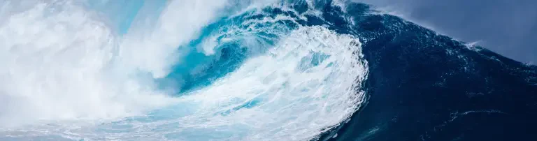 KYMA sea conservation & research Header