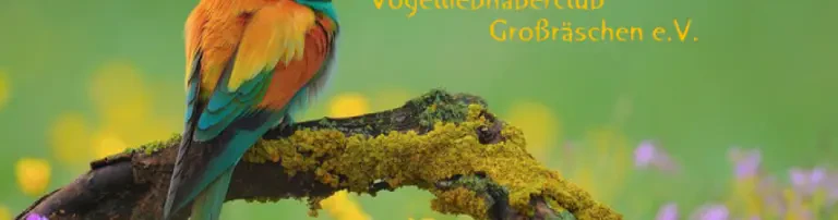 Vogelliebhaberclub Header