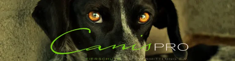 Tierschutzinitiative CanisPRO e.V. Header