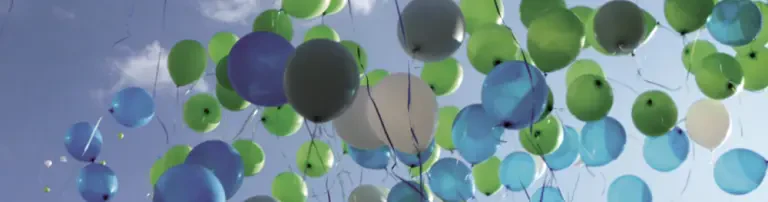 Deutscher Kinderhospizverein e.V. Header