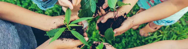 Stiftung Zukunft Wald Header