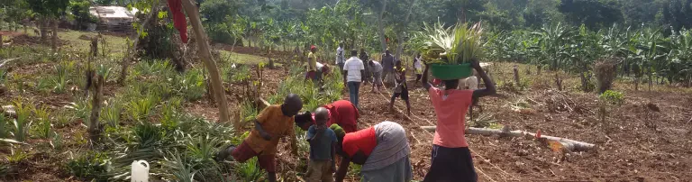Reachout Uganda e.V. Header