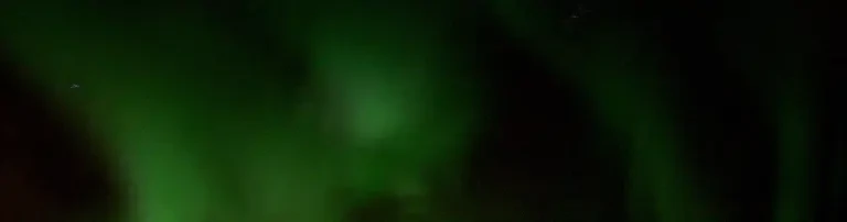 Tierschutzverein Flöha und Umgebung e.V. Header