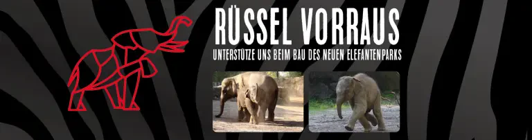 Zoogesellschaft Osnabrück e.V. Header
