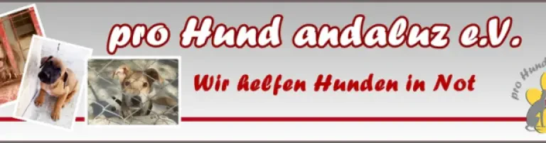 pro Hund andaluz e.V. Header