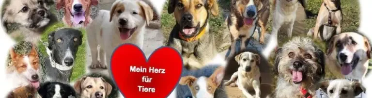 Tierfreunde Europa e.V. Header