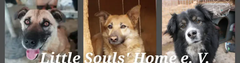Little Souls' Home e. V. Header