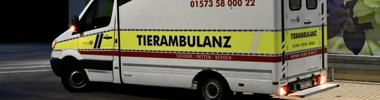 Tierrettung Chemnitz e.V. Header