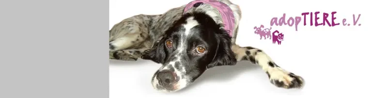 adopTIERE e.V. Header