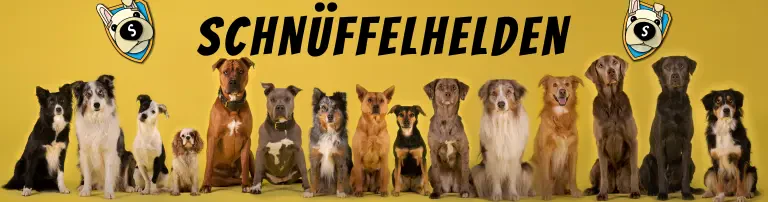 Schnüffelhelden e.V. Header