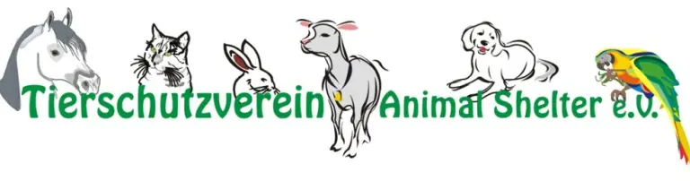 Animal Shelter e.V. Header