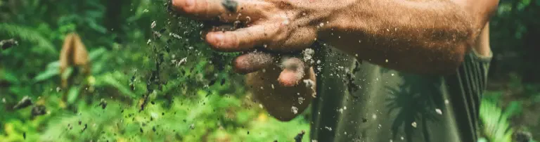 PlantNOW - Gemeinsam gegen den Klimawandel Header
