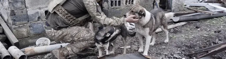 Futter für die Tiere im ukrainischen Kriegsgrenzgebiet Header