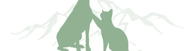 Kastration von Straßentieren Header
