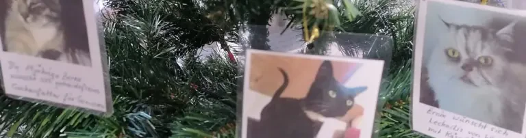 Erfülle die Weihnachtswünsche unserer Tiertafel-Schützlinge! Header