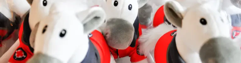 Tröstepferdchen Header