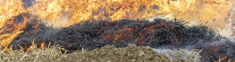 Bei Waldbrandbekämpfung in Deutschland unterstützen Header