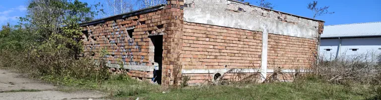 Shelteraufbau für Hunde und Katzen in Alba Iulia/Rumänien Header