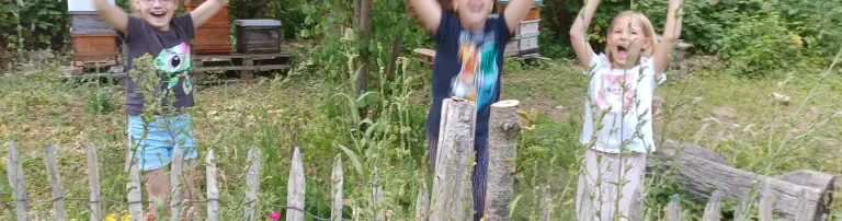 Kleine Bienenschule Header