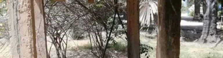 Für Menschen. Für Tiere. Für Afrika. Header