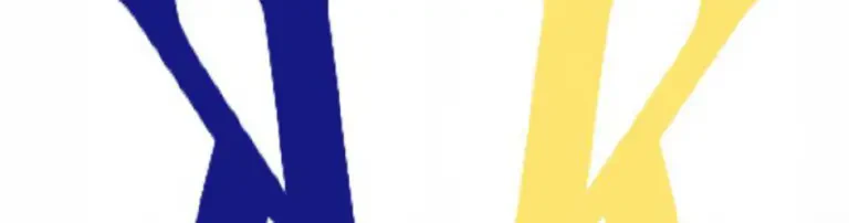 SV Kiosk Header