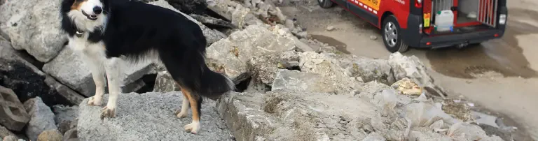 Hundeboxen im Einsatzfahrzeug Header