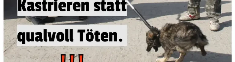 Kastrationsprojekt Header