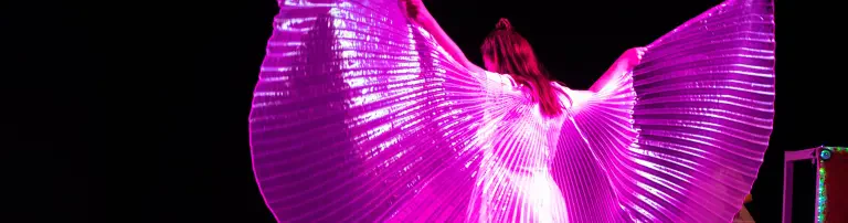 PINK! (Projekt INklusive Körper) Header