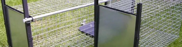 Wir brauchen eine Grundausrüstung zum Einfangen von Wildkatzen Header