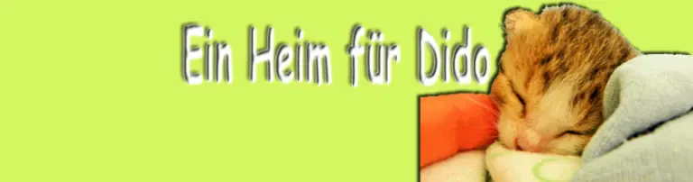 Ein Heim für Dido Header