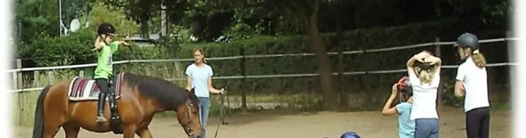 Aufbau der Reittherapie für Kinder und Jugendliche mit besonderem Förderbedarf von finanzschwachen Familien Header