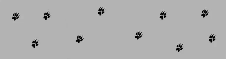 Steinmarderwaisen in Not Header
