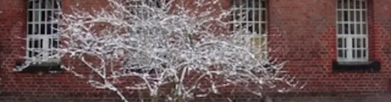Weihnachts-Aktion für Gefangene Header
