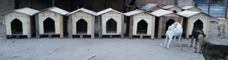 Weitere 30 Hundehütten für das Tierheim -Sopen- in Izmir Türkei Header