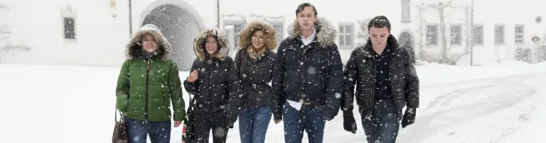 Weihnachtswünsche Header