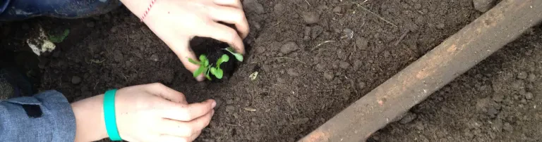 Garten:Kinder Header